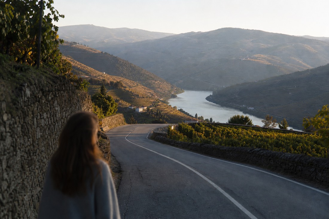 Winding road between terraced vineyards descending toward the Douro river in late afternoon light