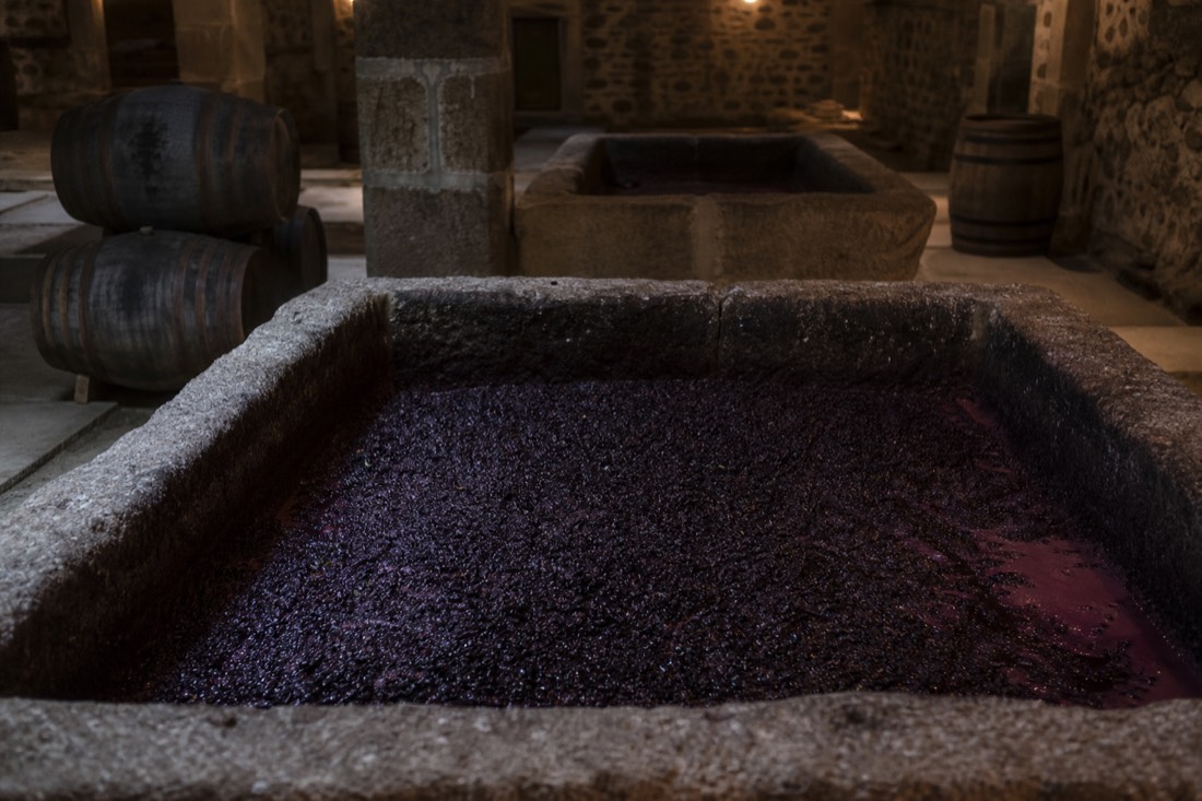 Crushed dark grapes and juice in a shallow granite lagar tank inside a Douro winery
