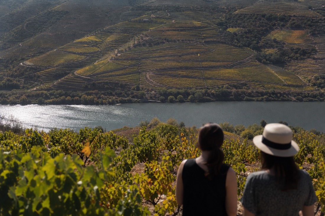 Terraced Douro vineyards in early autumn with green vines just starting to turn gold above the river