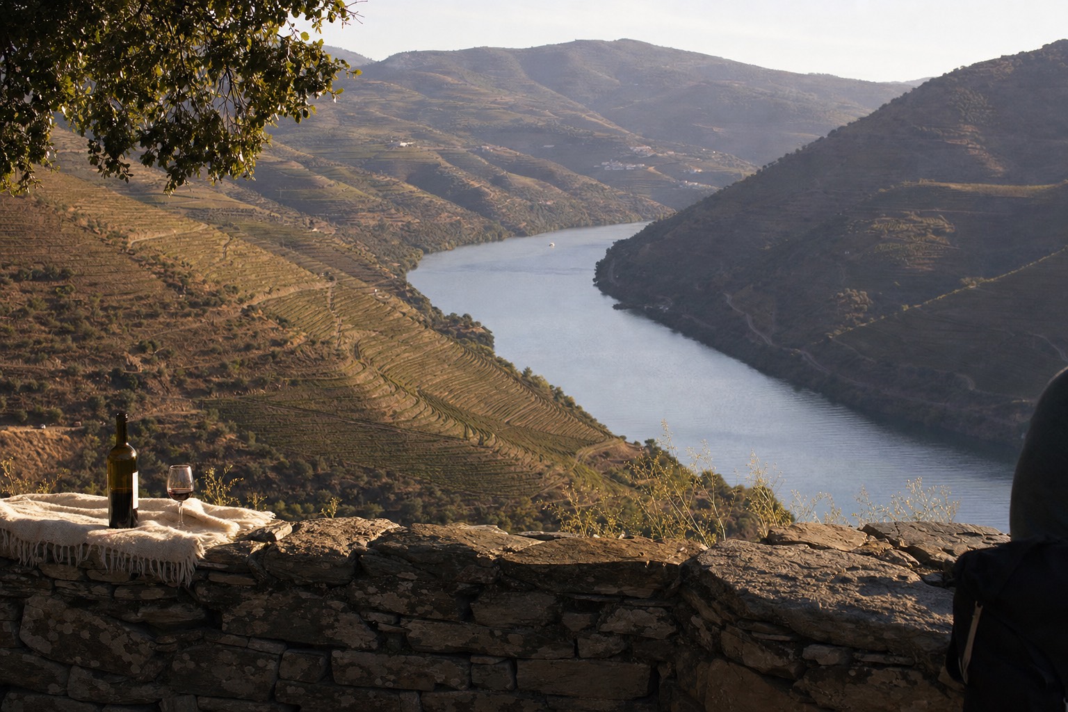 Sweeping view from a high Douro miradouro over a river bend framed by curved vineyard terraces in afternoon light