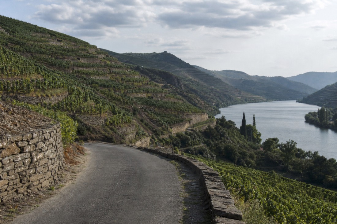 View through a curving road cut into the hillside with vineyard terraces above and river glinting below