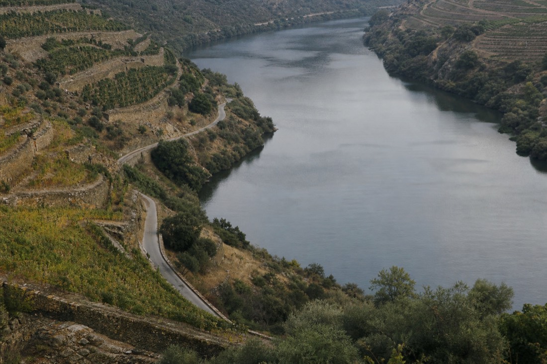 Aerial view of a narrow road tracing the curves of the Douro river below steep vineyard terraces