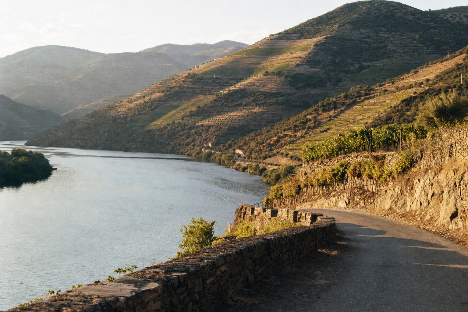 Winding riverside road curving along the base of terraced vineyard hills beside the calm Douro