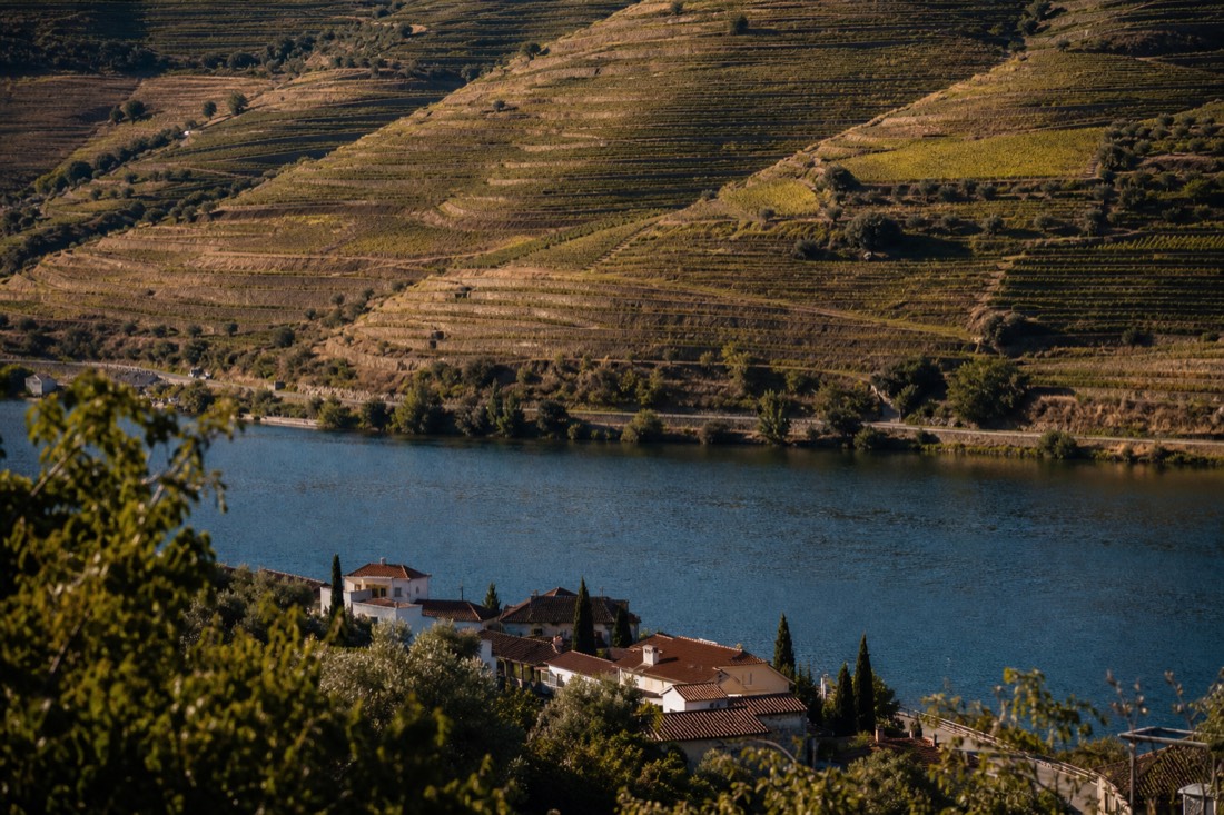 Steep terraced vineyards rising directly above the Douro river around the small village of Pinhao