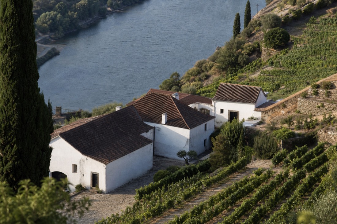 Whitewashed quinta buildings among terraced vineyards on a hillside above the river near Pinhao