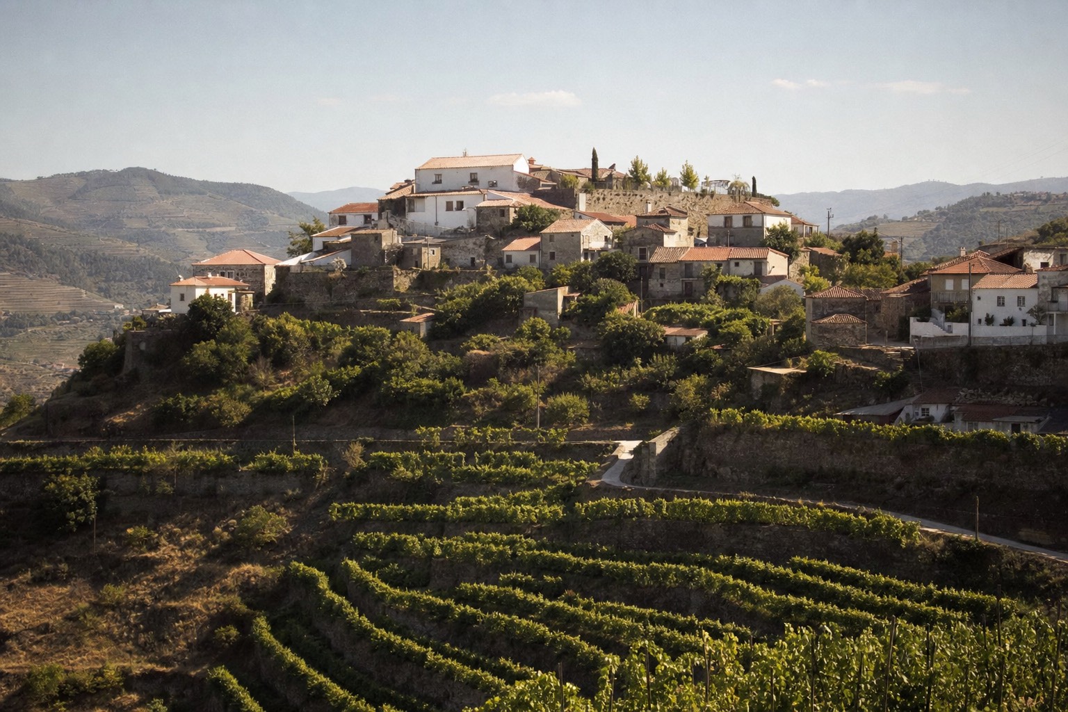 Cluster of granite and whitewashed houses on a Douro hilltop surrounded by terraced vineyards under warm light