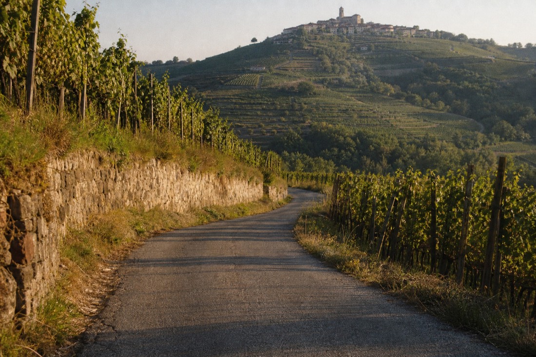 Narrow country road winding up through vineyard terraces toward a distant hilltop village