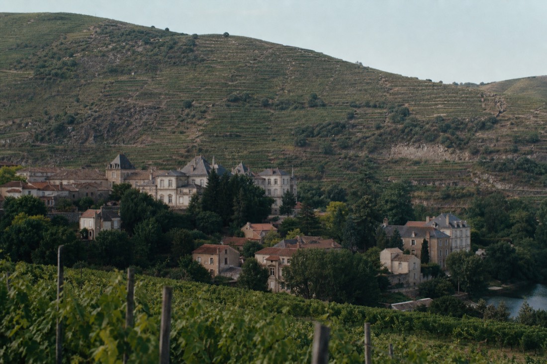 Vine-covered hillside with a small town and old manor estates marking the entrance to the river valley