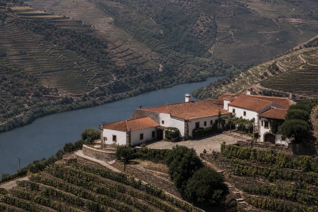 Stone quinta buildings surrounded by steep terraced vineyards above a bend in the Douro river