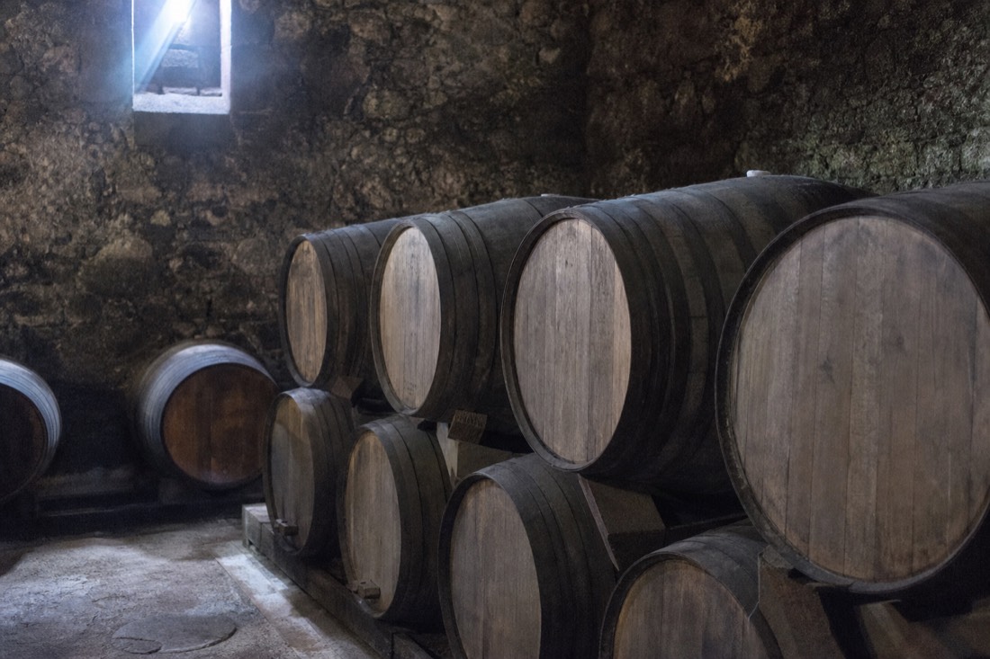 Rows of oak port barrels in a dim stone cellar with cool light falling from a small window