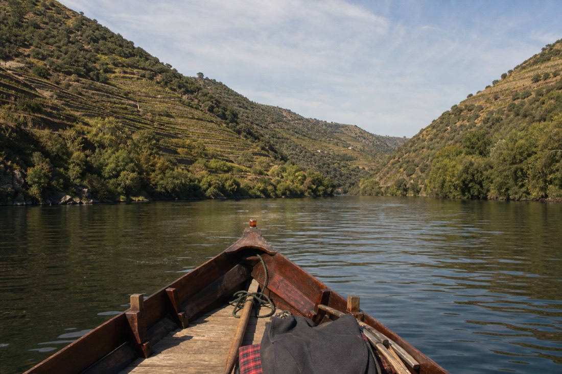 Bow of a small wooden boat pointing up the vine-walled Douro gorge in warm afternoon light
