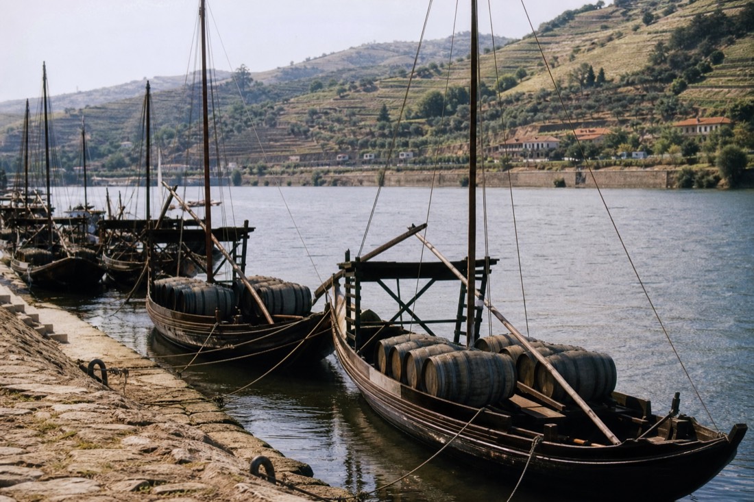 Several wooden rabelo boats moored in a row along a river quay with vineyard slopes behind