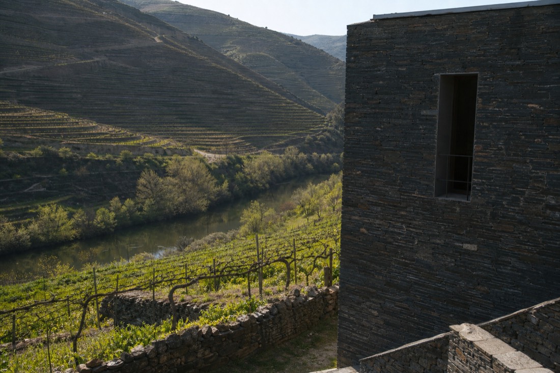 Modern winery building in schist stone beside old vineyard terraces near the Corgo river