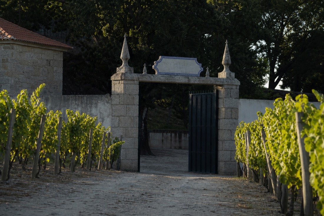 Painted tile name plaque style gateway of a Douro wine estate framed by vines, the classic quinta entrance
