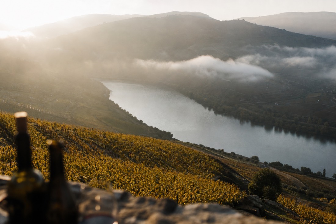 Misty golden morning over turning vine terraces above the Douro in late September
