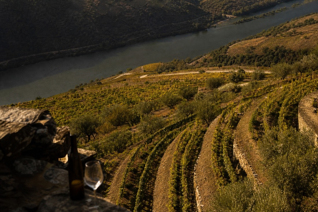 Late afternoon shadows across stone-walled vineyard terraces in the Douro Valley