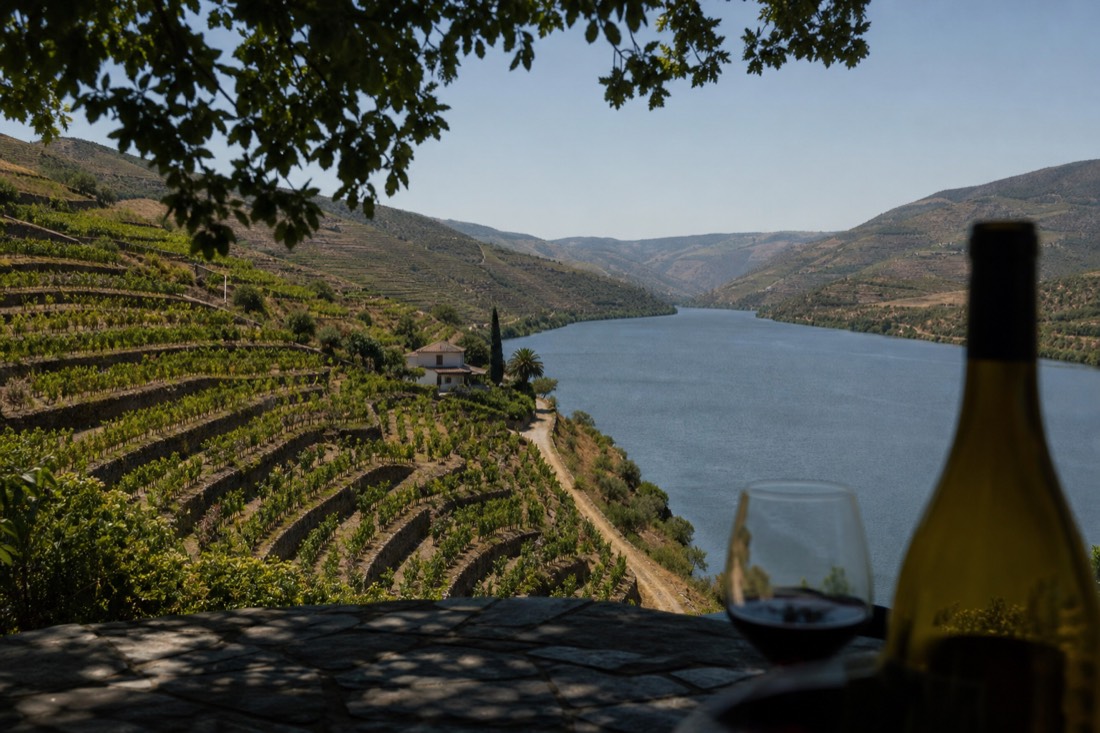 Terraced vineyards dropping to the Douro River under clear sky, the classic day-trip reward