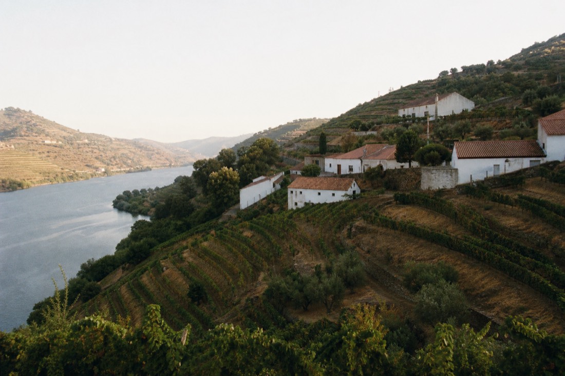 Whitewashed wine estate buildings scattered among terraced vineyards on a steep river hillside