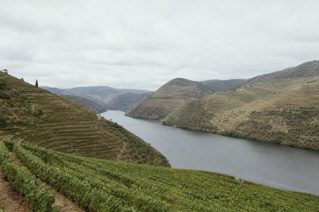 Terraced vineyards stepping down both banks of the Douro River under a wide open sky
