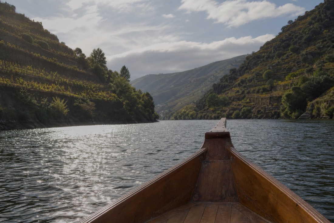 Bow of a small wooden boat pointing up the vine-walled Douro gorge in afternoon light