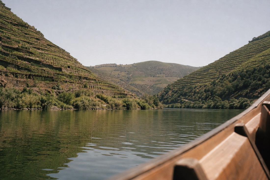 View from the water of terraced vineyards rising steeply on both banks of the Douro