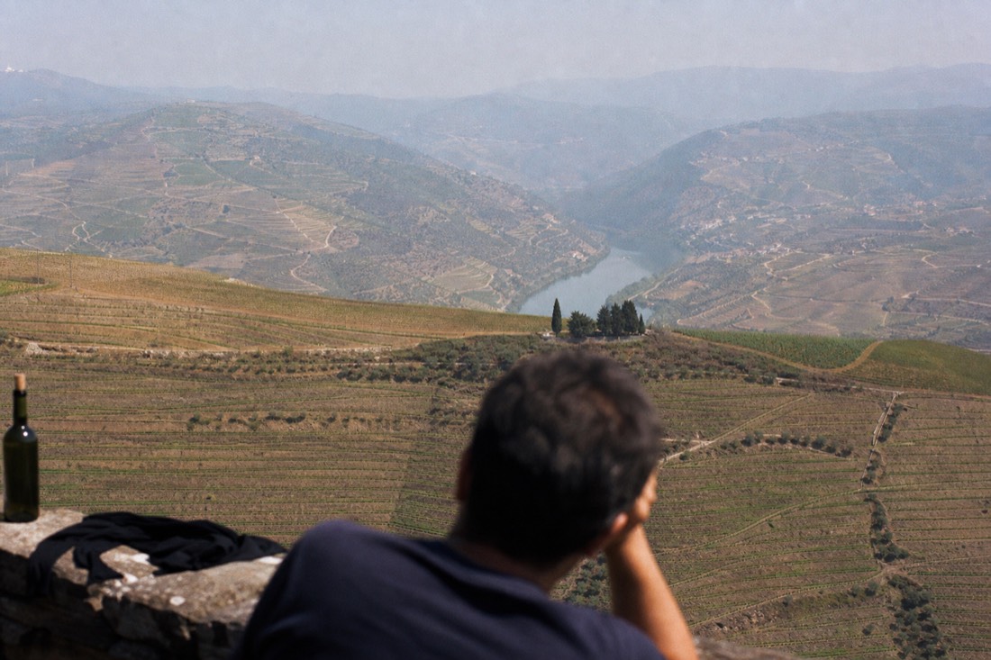 Terraced Douro vineyards far below a viewpoint, a landscape that sits deep in northern Portugal