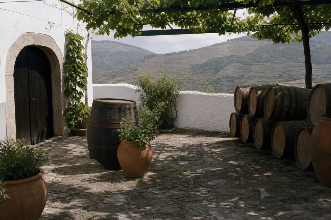 Sunlit Douro quinta courtyard with barrels, the setting behind the review numbers