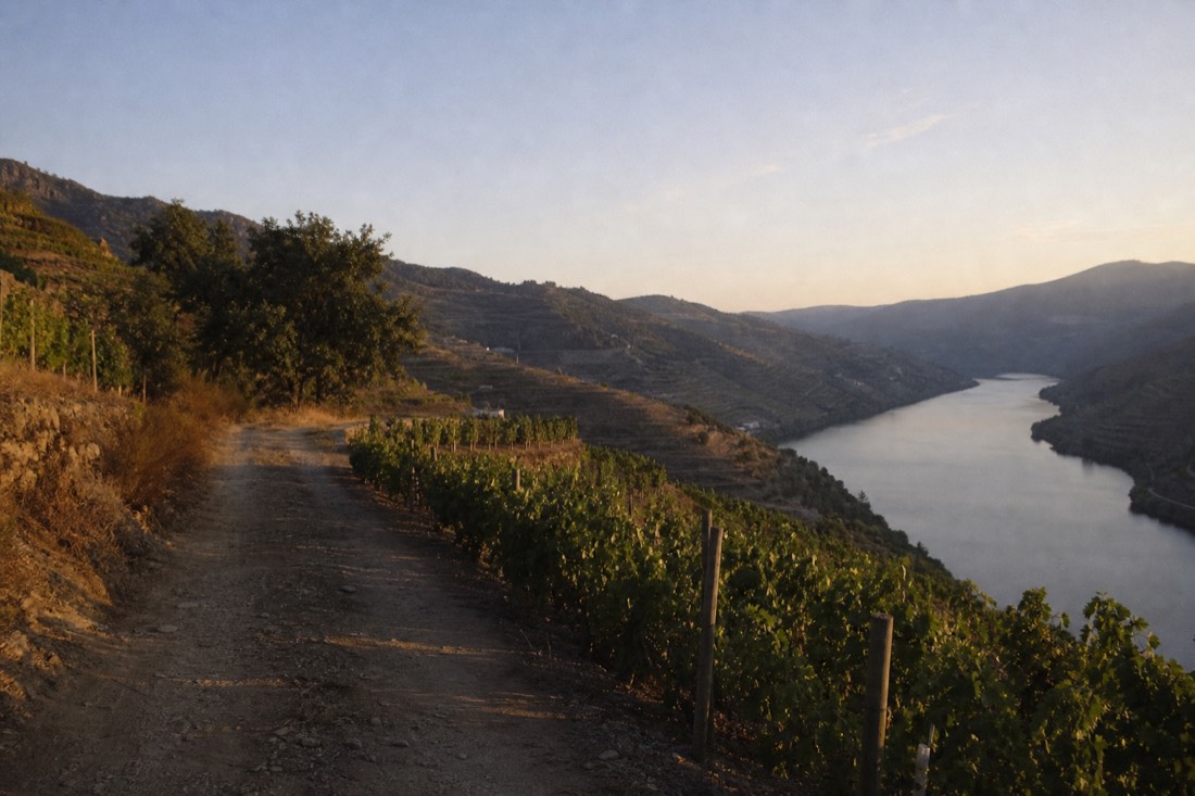 Off-road track climbing through Douro vineyard terraces toward a ridge at golden hour, the premium 4x4 format's terrain