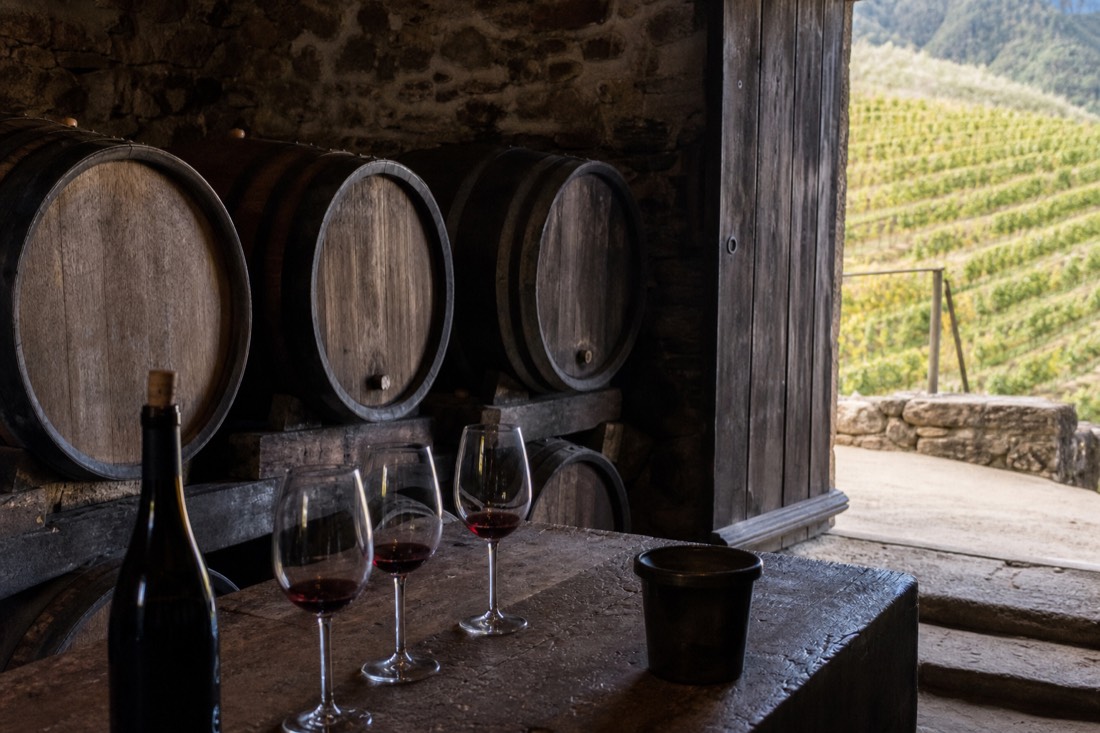 Dim quinta cellar with aging barrels and a simple tasting setup on a wooden counter, terraced vineyards visible through a doorway