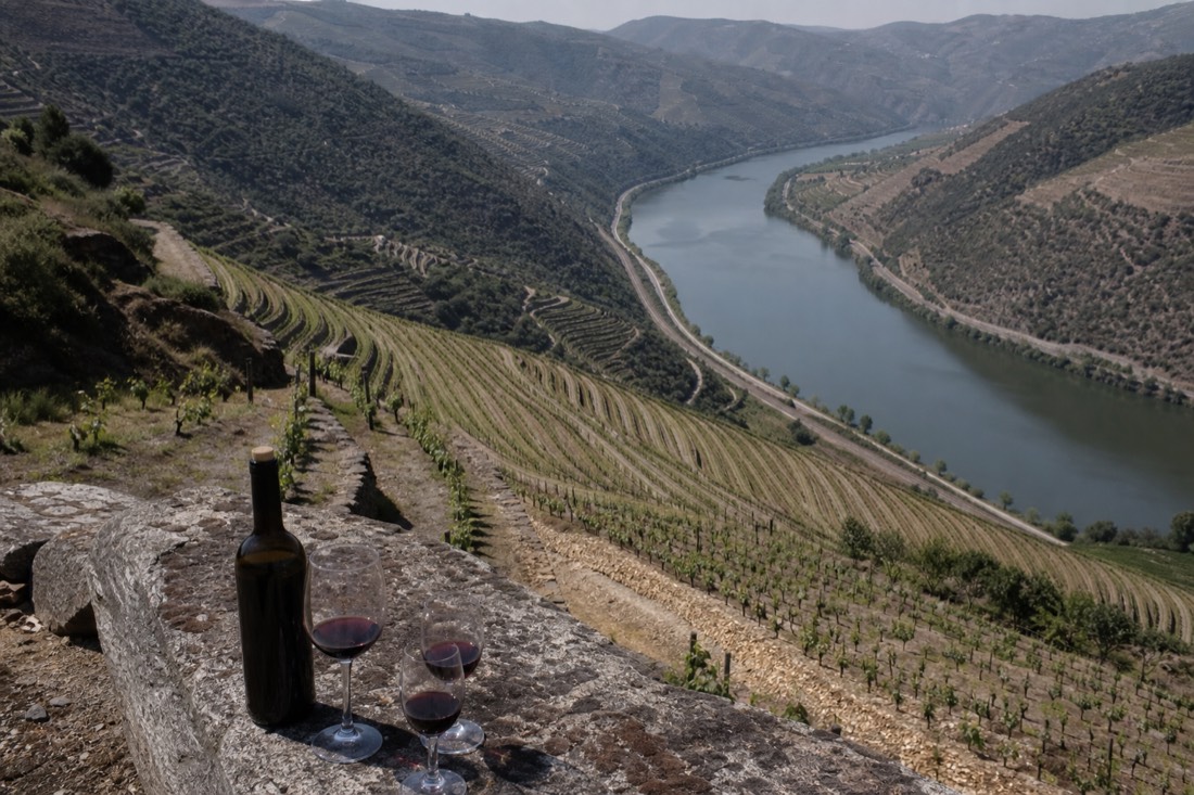 Terraced Douro vineyards dropping to the river with a narrow road and rail line threading the valley floor, seen from a high viewpoint