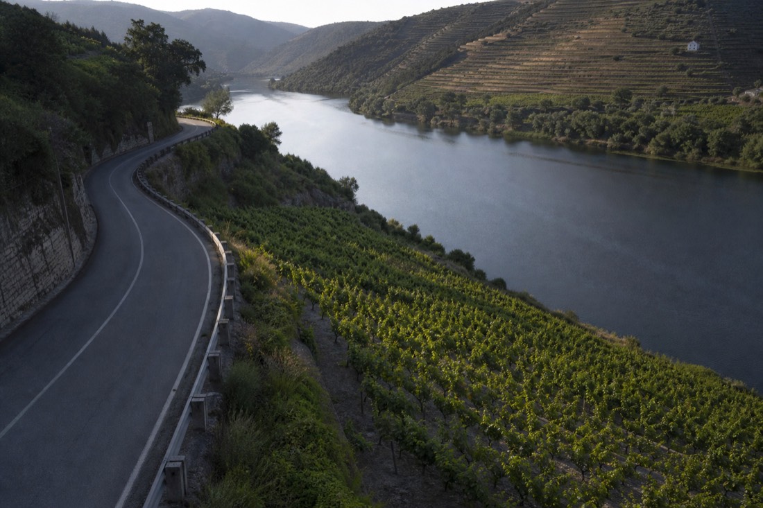 Winding N222 road curving along the Douro River between vineyard terraces, the long drive every tour includes