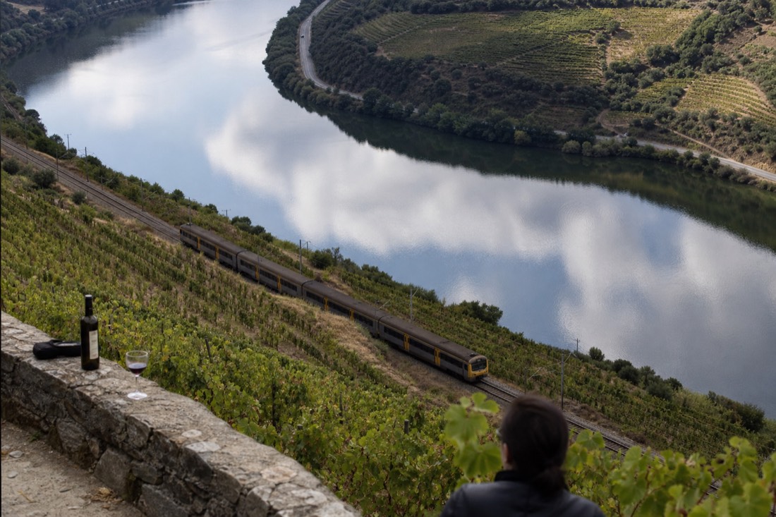 Regional train running beside the Douro River below steep terraced vineyards on the Linha do Douro