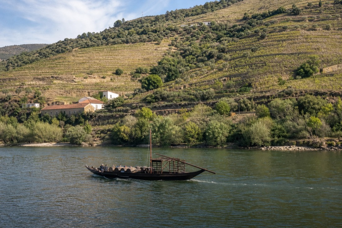 Traditional rabelo boat cruising the Douro River past terraced vineyards near Pinhão