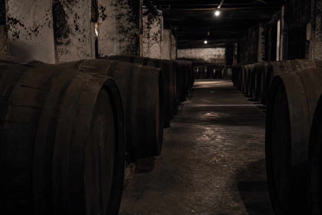 Rows of large dark wooden Port barrels resting in a dim stone ageing cellar