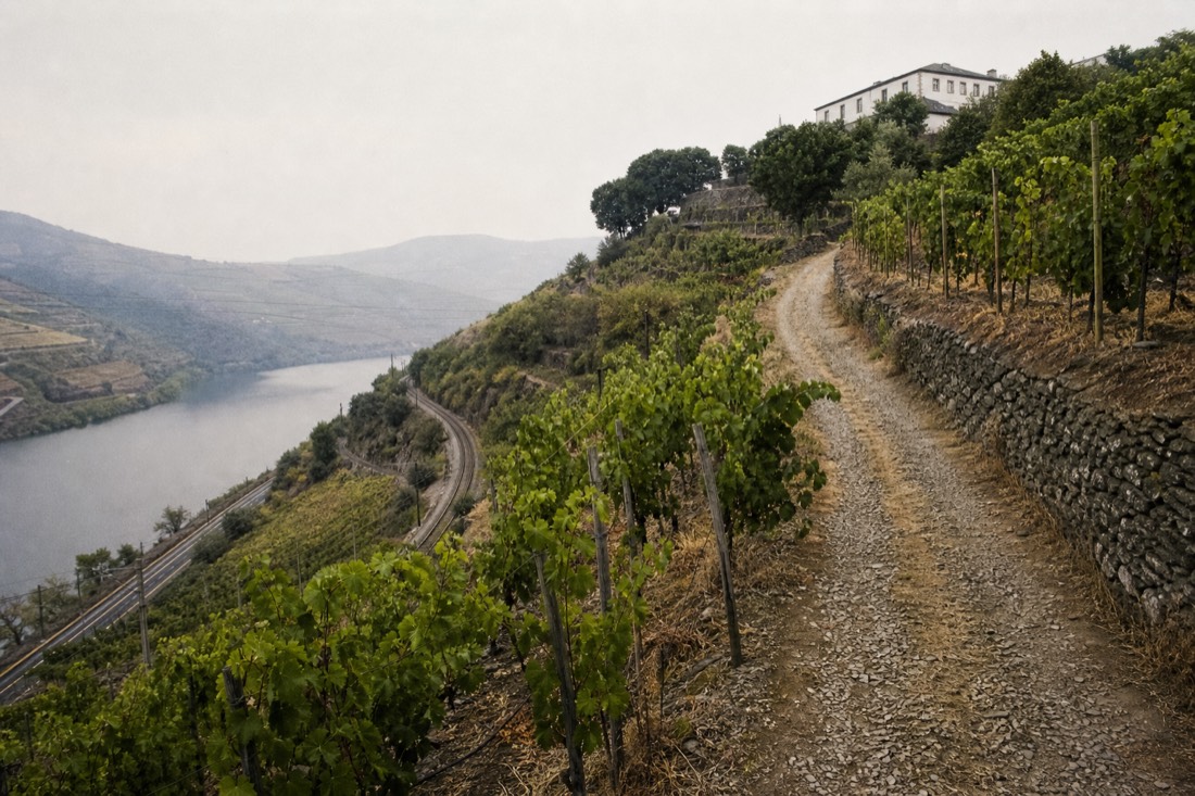 Gravel lane climbing from the valley floor toward a hillside quinta far above the railway