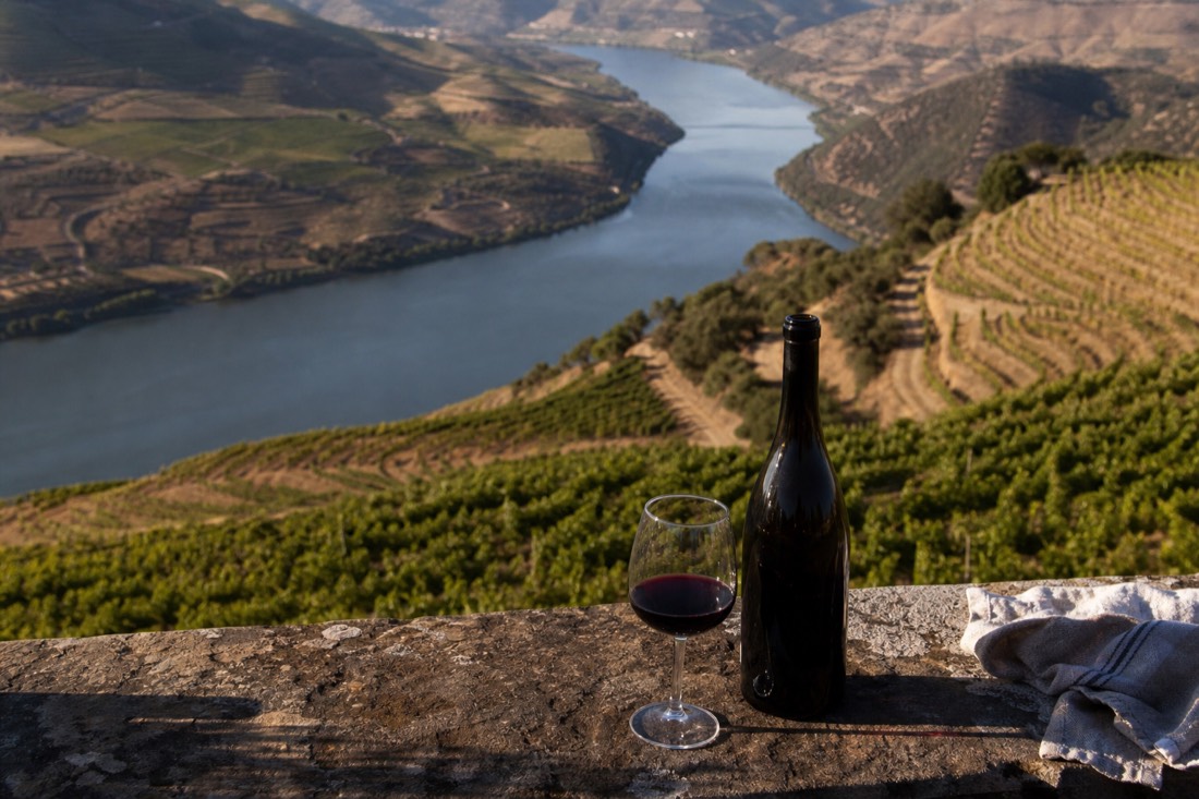 Afternoon light over terraced vineyards and the river seen from a high Douro viewpoint
