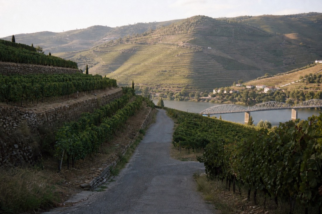 Winding road descending through Douro vineyard terraces toward a river bridge near Regua