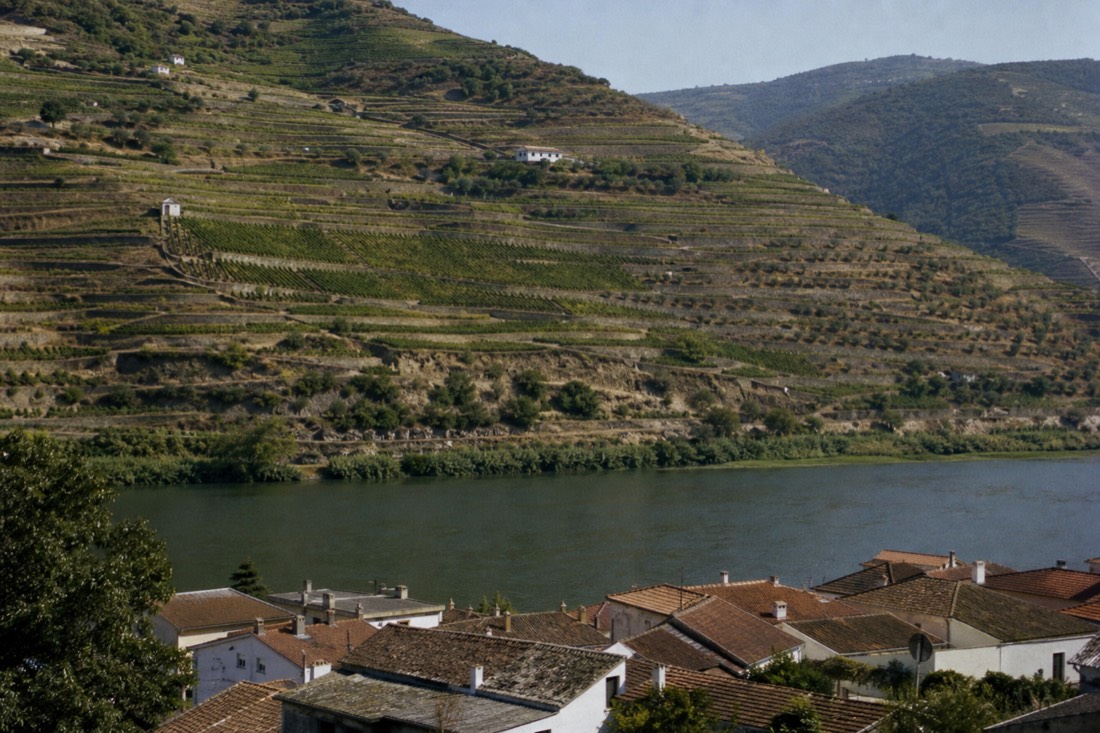 Tightly stacked vineyard terraces climbing the left bank of the Douro directly across from a small river town