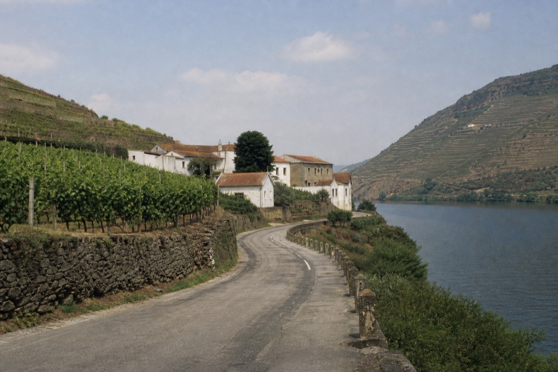 Cluster of estate buildings on a vineyard slope above the Douro just outside a small river town