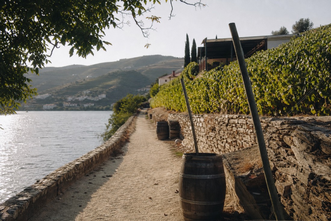 Riverside path leading from a small Douro town toward a wine estate a short walk away