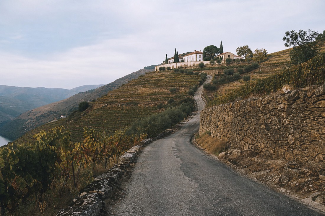 Winding approach road climbing to a vineyard estate high on a Douro ridge