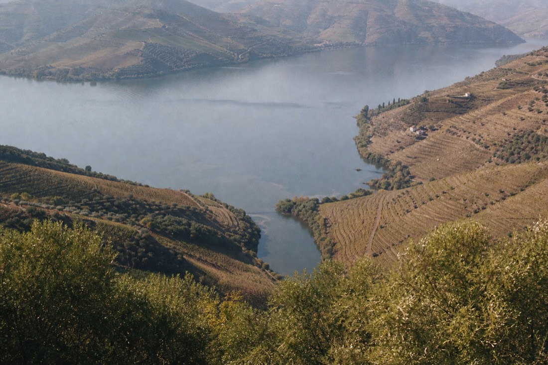 Confluence of a small river and the Douro seen from above with terraced vineyard hills all around