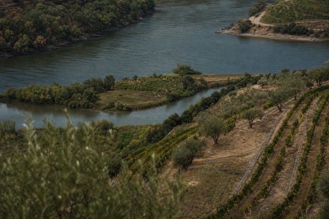 Green point of land where a small tributary river meets the Douro, ringed by terraced vineyards