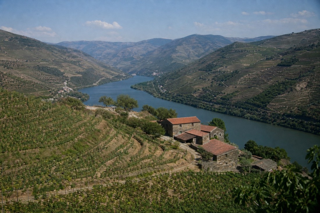 The Corgo river valley with vineyard slopes near Peso da Regua under clear light